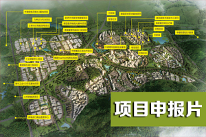 項目申報片